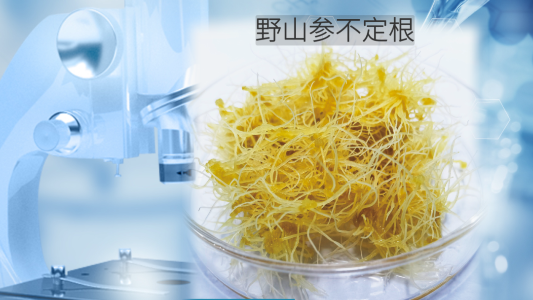 fa150577-05a8-401d-8118-be167ba388e7.png