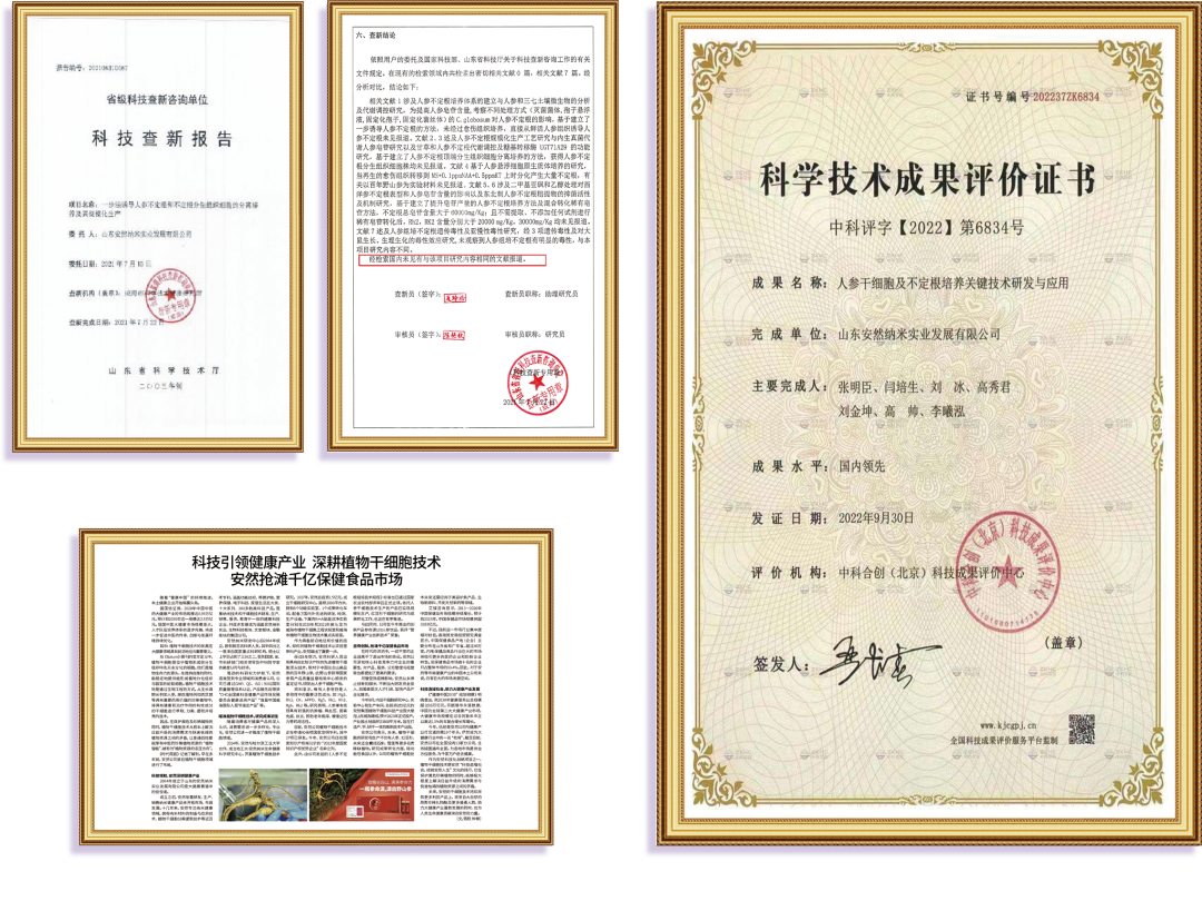 安7.png